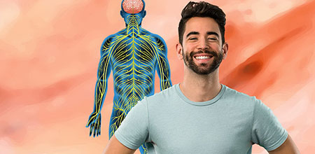 Grasas vegetales y sistema nervioso Las grasas de origen vegetal estimulan un buen funcionamiento del sistema nervioso