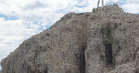 Imagen que ilustra los efectos del vértigo por acrofobia La acrofobia puede causar vértigo, miedo extremo y ansiedad al estar a gran altura