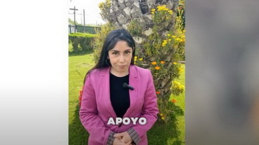 Intervenciones rápidas: Primeros Auxilios Psicológicos Apoyo emocional práctico en emergencias psicológicas para tu ser querido.